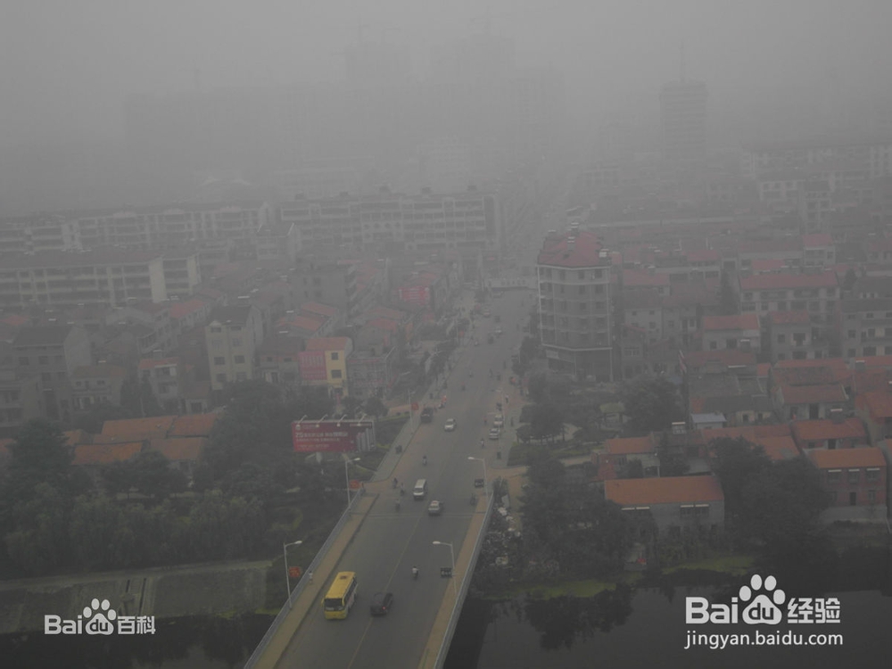 雾霾天气最适合吃什么?