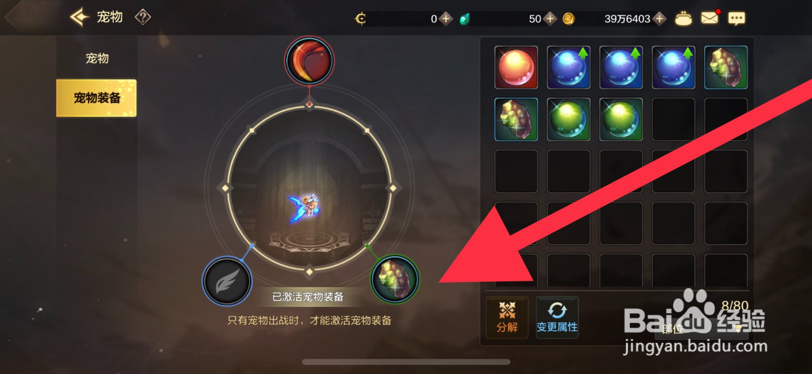 DNF手游怎么佩戴宠物装备
