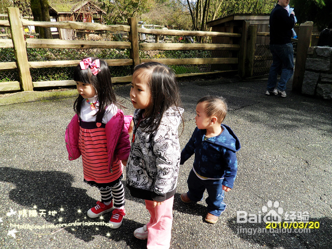 拾海的孩子&亲亲小动物(组图)