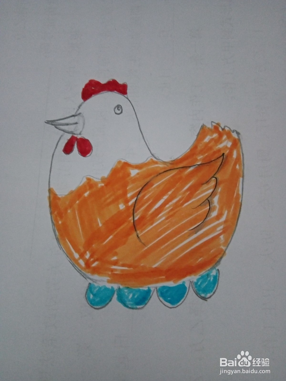 简笔画老母鸡下蛋的画法