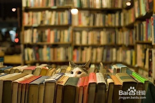 百万富翁们都有这10条生活习惯，成功真的有原因