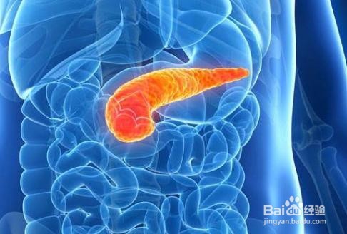 消化液有什么主要功能