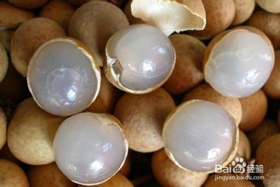 吃什么能改善睡眠