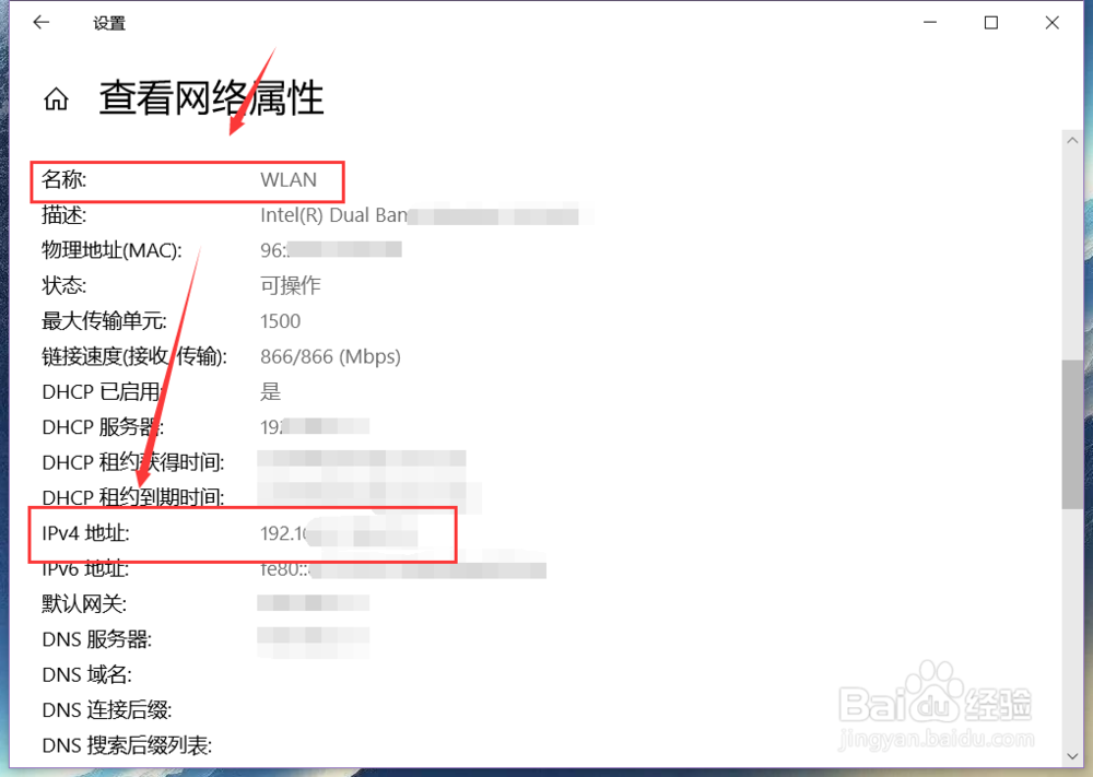 如何查询电脑的IP地址，IP怎么看