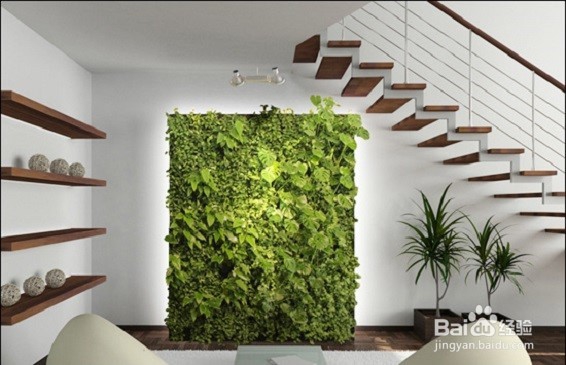 夏季身体最怕的是什么？