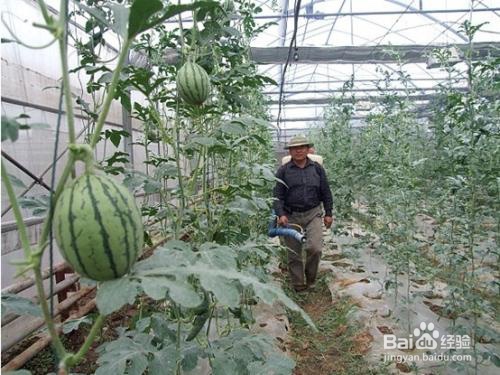 如何利用农村闲置劳动力