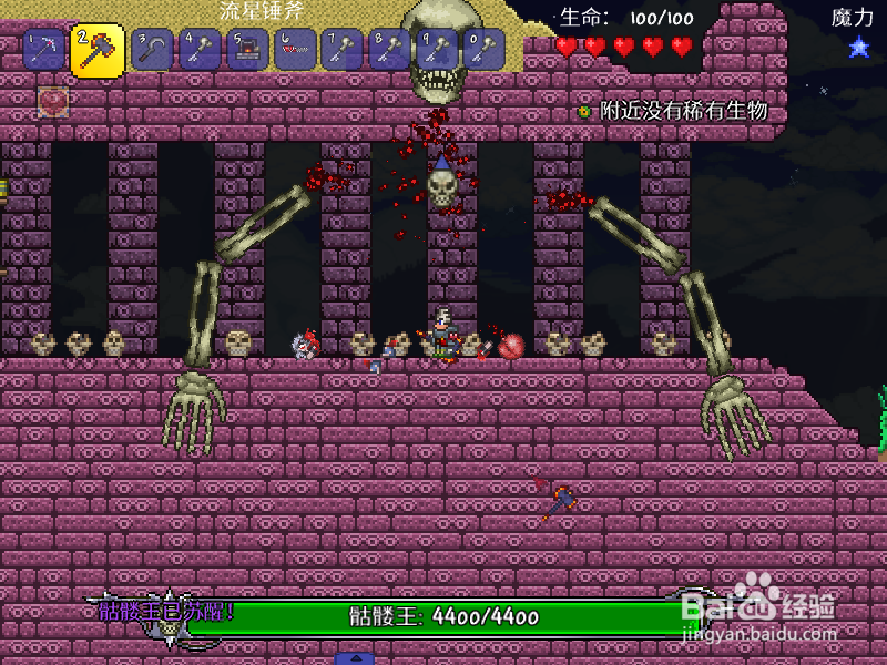 泰拉瑞亚骨头怎么得