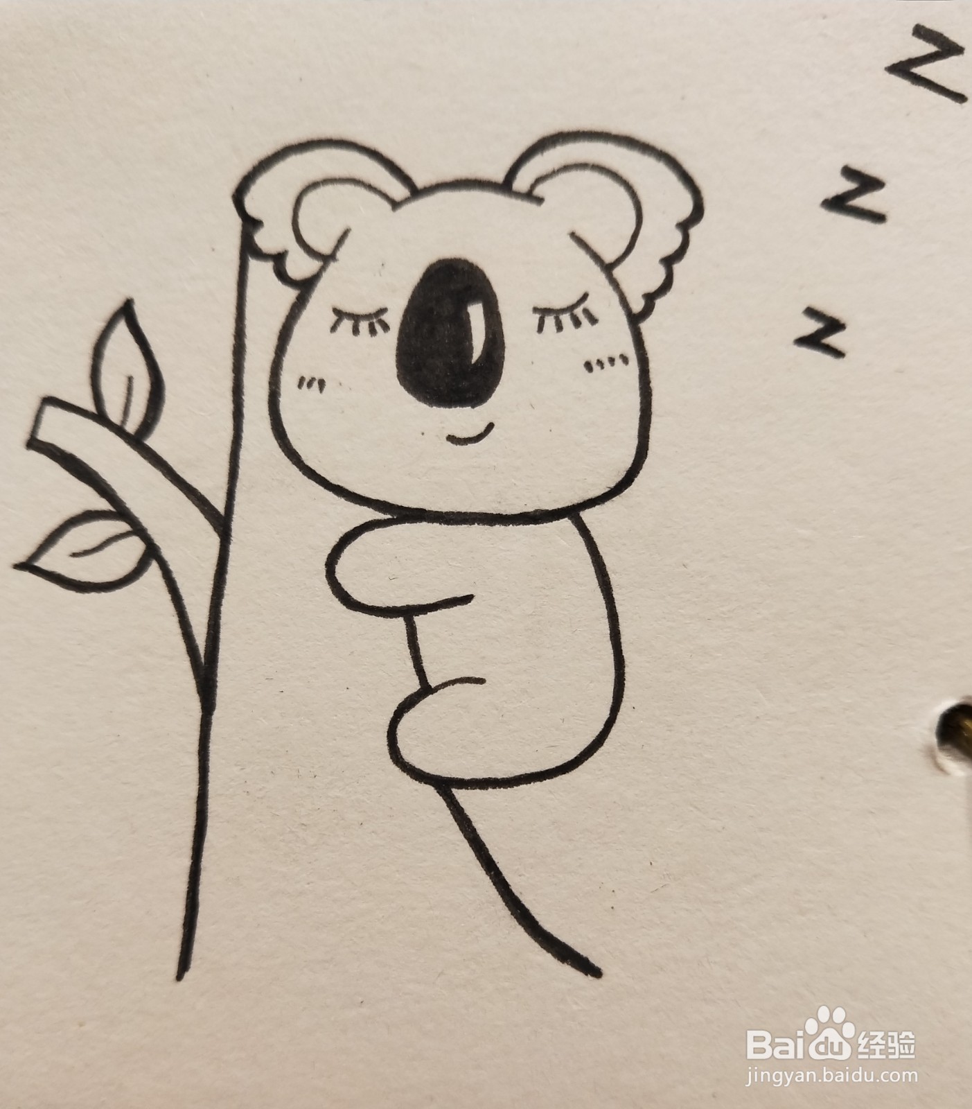怎样画简笔画——考拉宝宝