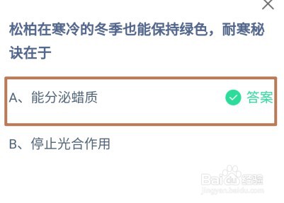 松柏在寒冷冬季保持绿色耐寒秘诀在于蚂蚁庄园