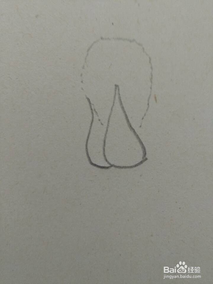 简笔画——白菜