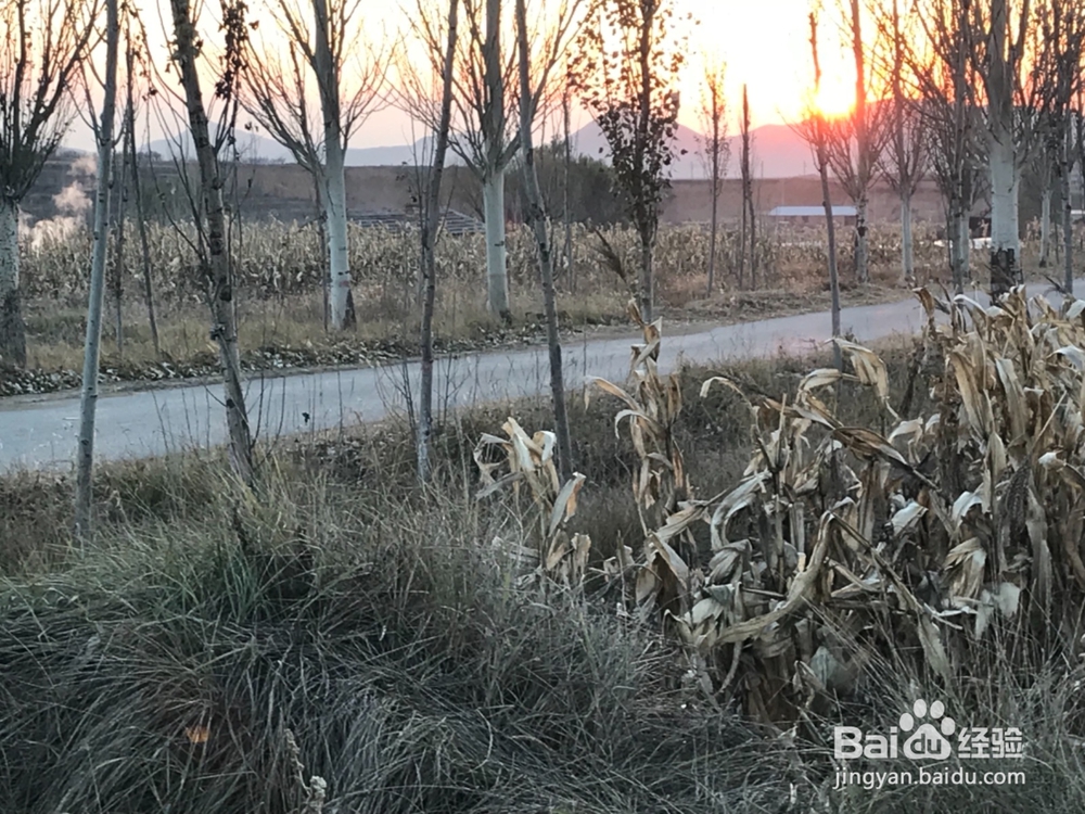 怎样拍摄初冬的田野