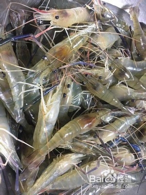 做梦都想吃的白灼虾