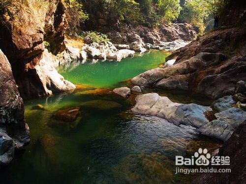 深圳金叶子温泉、南昆山国家森林公园二天游