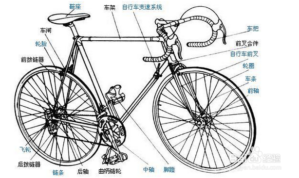 死飞怎么刹车