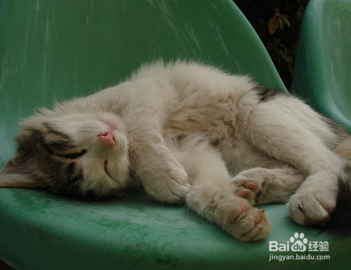 影响孩子学习的非智力因素有哪些？