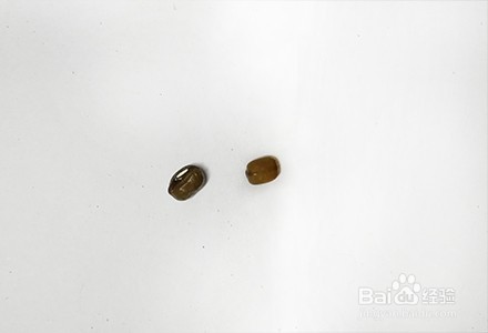 怎样缓解感冒症状