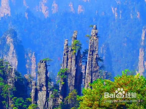 张家界自助游导游必备知识