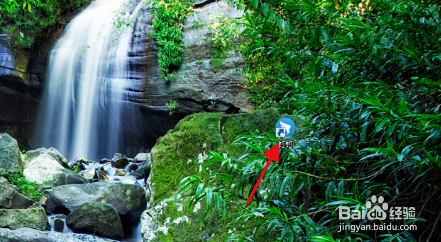 钉钉如何开启远程视频会议？