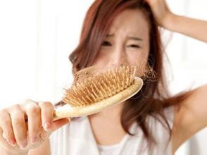 每次洗头都掉好多头发该怎么办