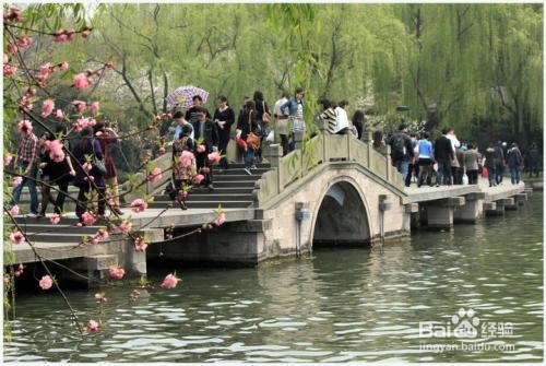 外地人到西湖怎么停车