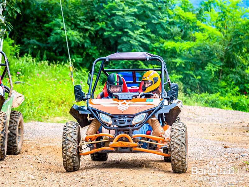 龙出没乐园攻略