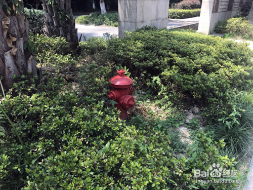 消火栓的设置位置距房屋外墙不能小于几米？