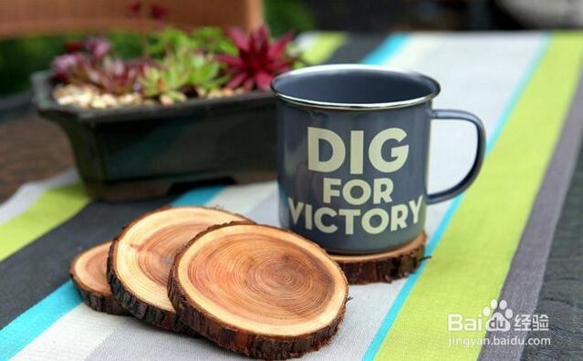 在国外圣诞节过后圣诞树会怎么处理?