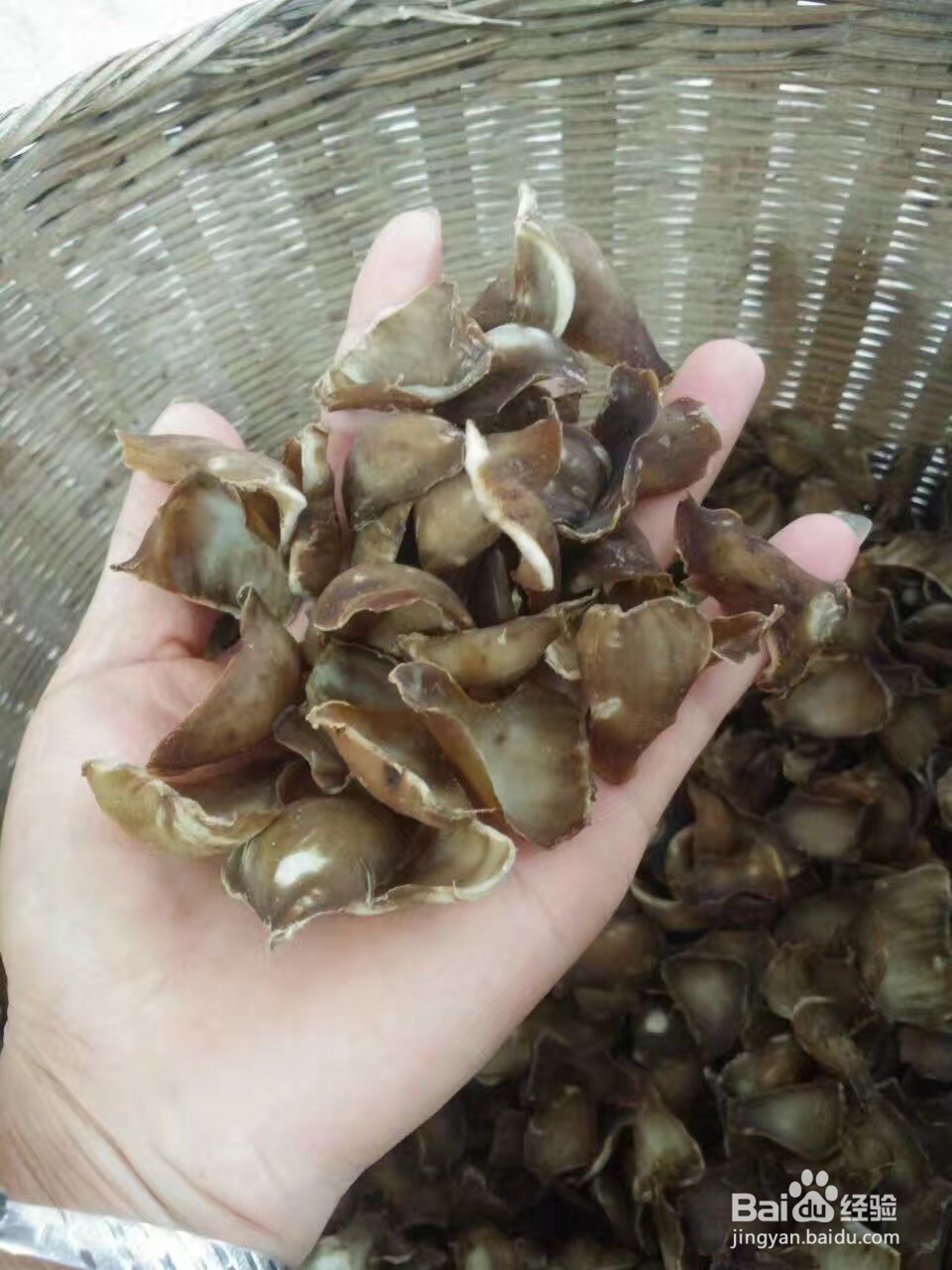 如何辨别无硫磺熏制过的百合干