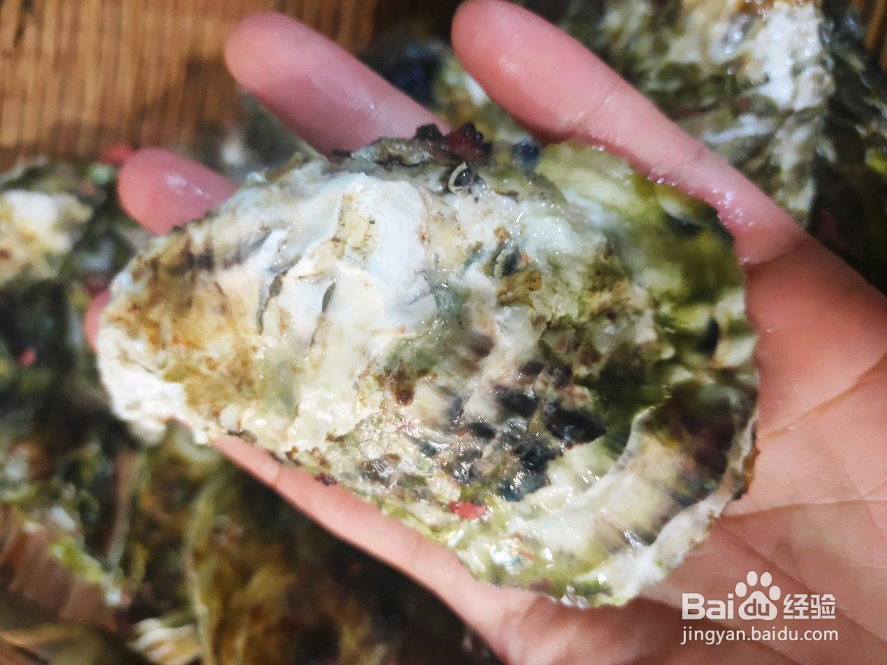 家常蒜蓉粉丝生蚝的做法