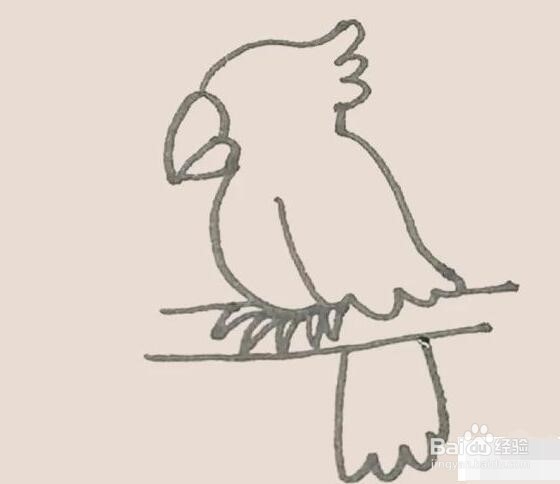 伴儿成长简笔画系列-怎样画鹦鹉简笔画