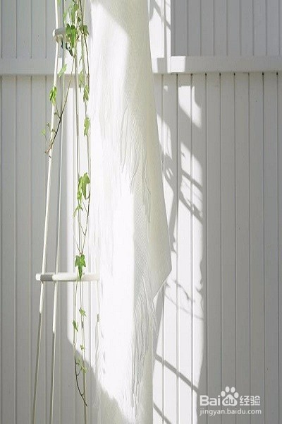 当导游你有什么秘籍？