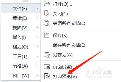 wps打印预览时怎么自定义页边距