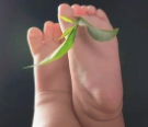 脚气的日常小妙招