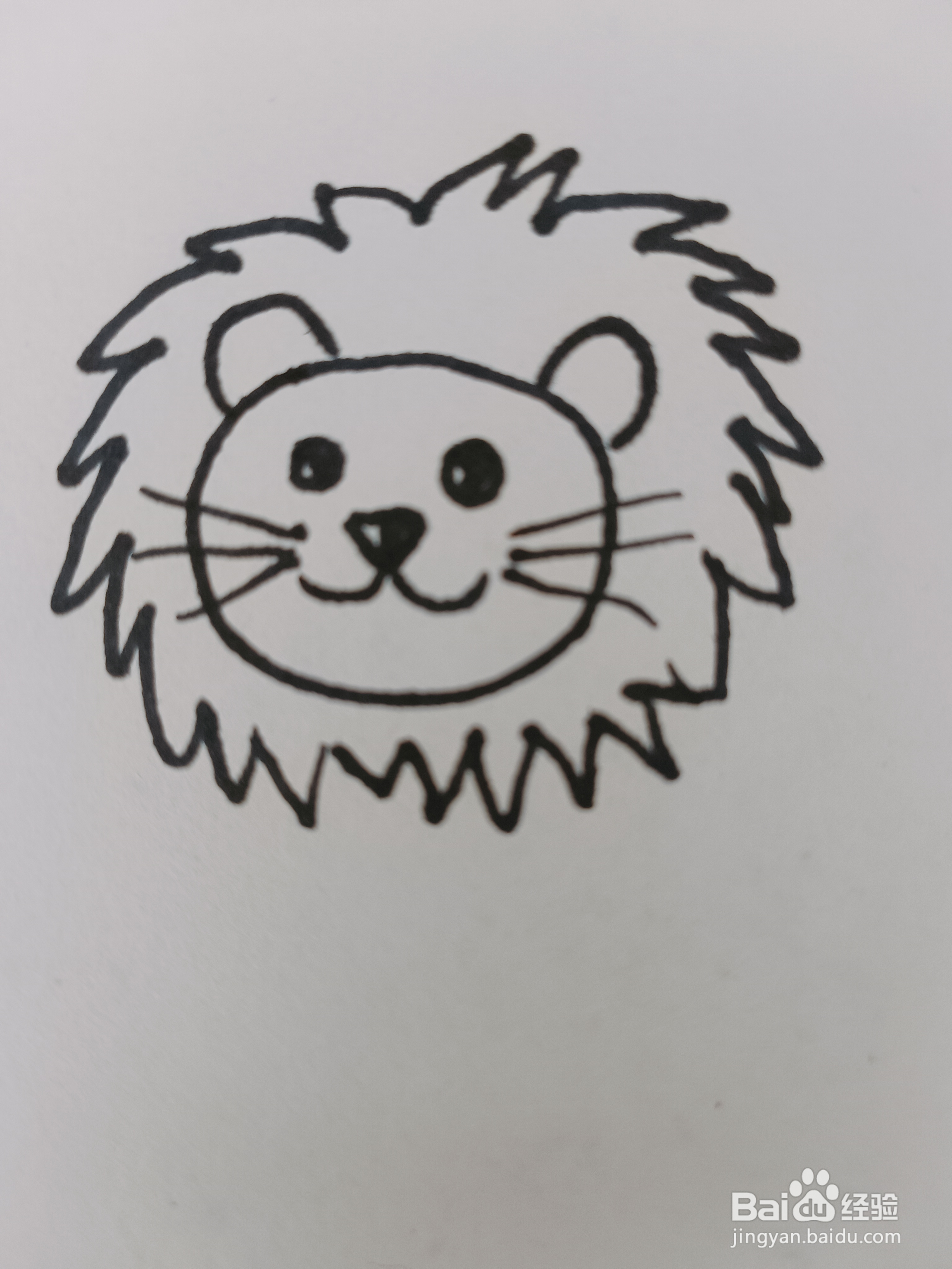 狮子怎么画