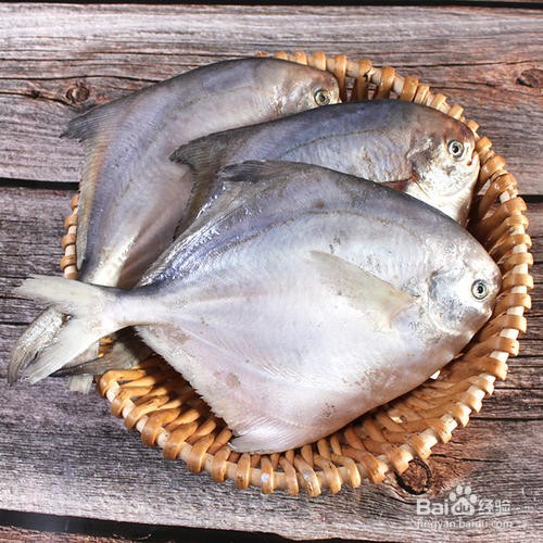 钓鲳鱼最好的饵料