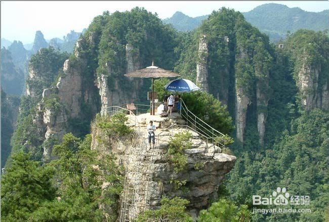 去张家界旅游多少钱