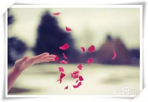 读懂人生，看透世界