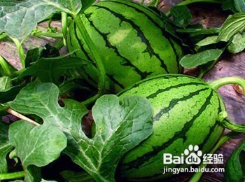 慢性肾衰竭食谱