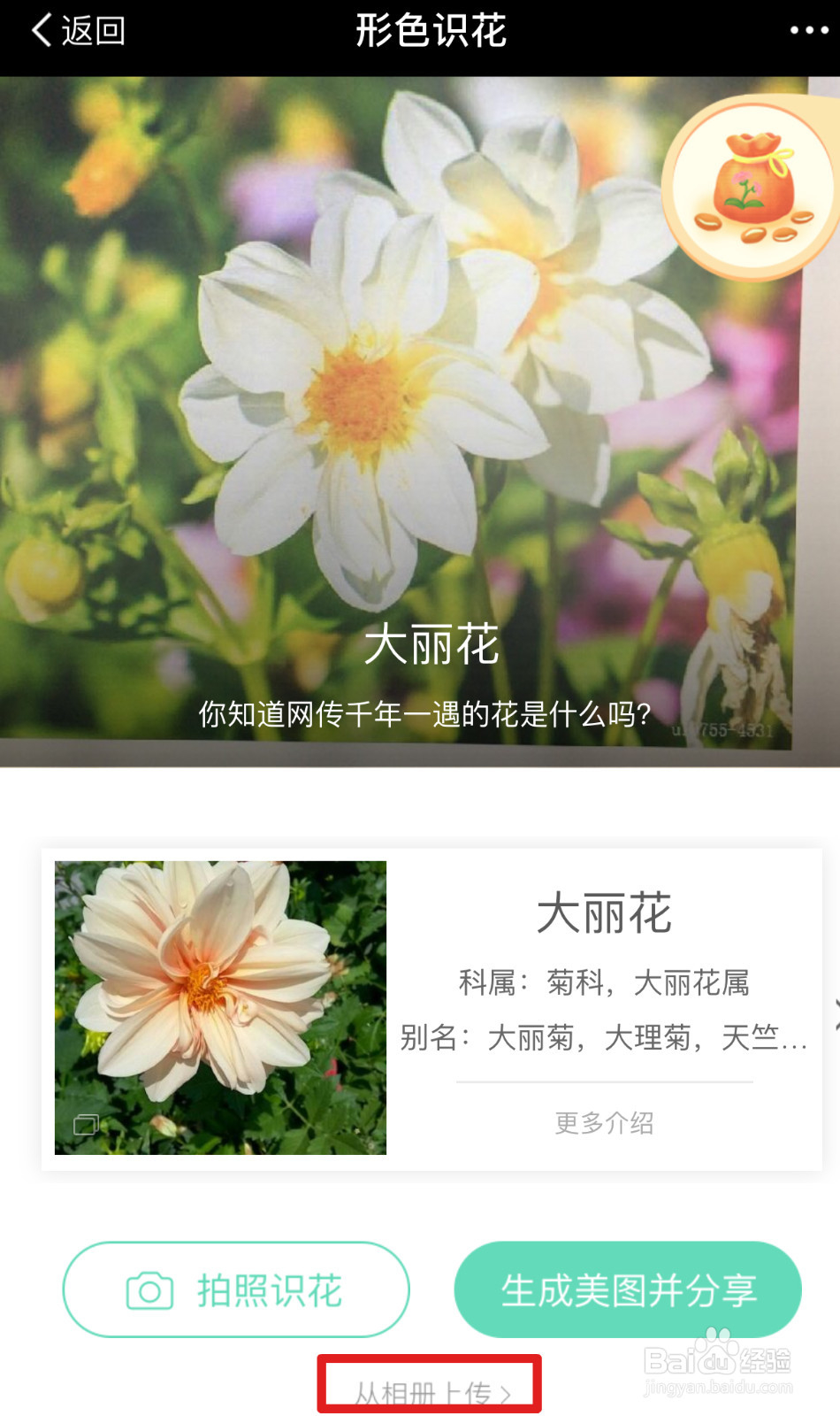 支付宝怎么识别植物和花