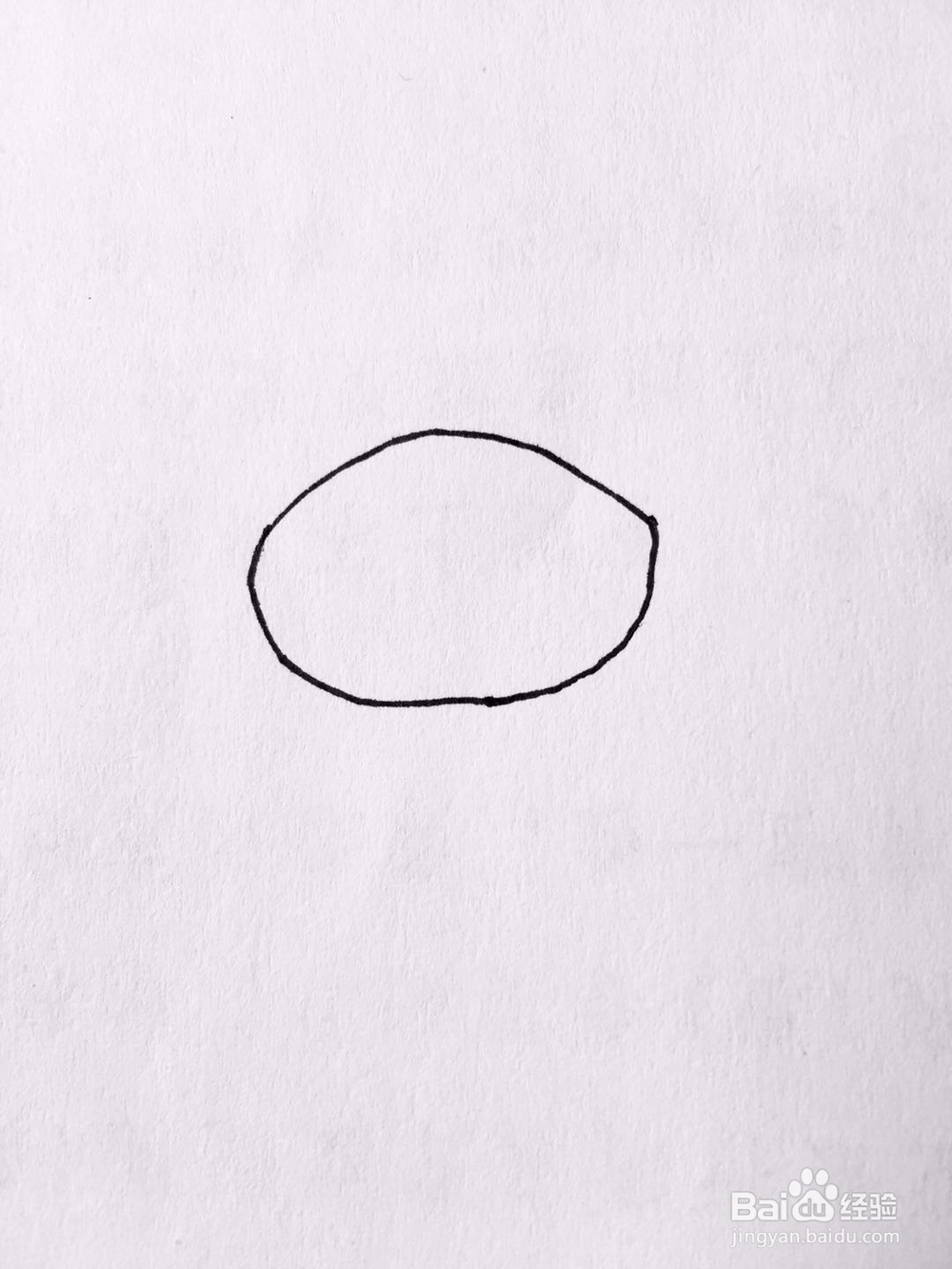 茉莉手绘之萌宠泰迪