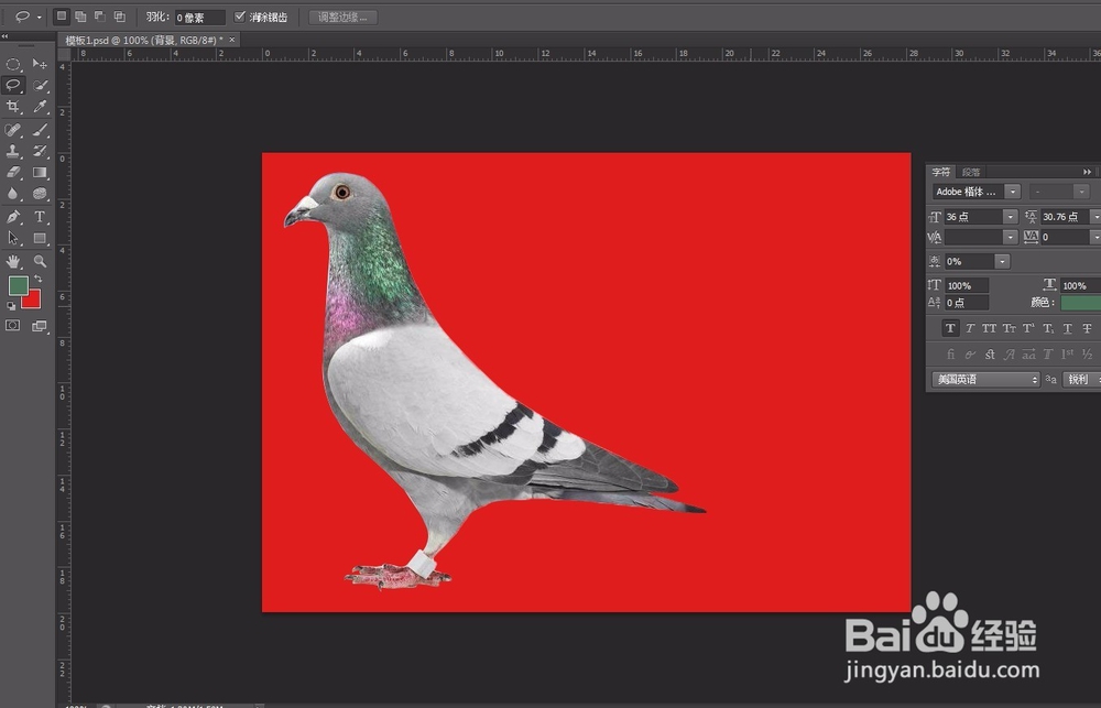 ps新手教学 必学6