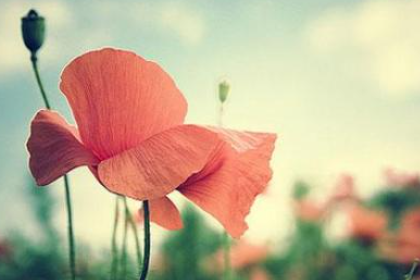 关于背叛的句子说说心情