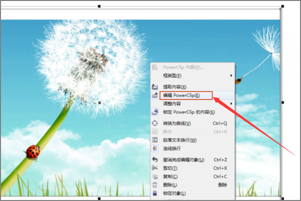 cdr中,怎么把一张图片放到文本框中