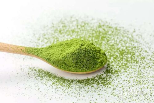 如何预防抹茶氧化结块难溶解及保存方法 百度经验