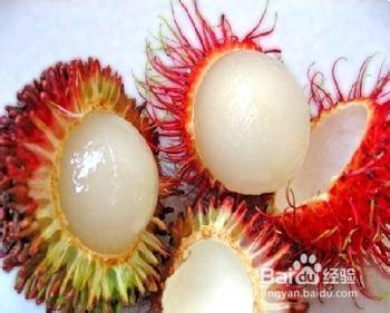 不一样的海南旅游攻略：[3]如何购买热带水果