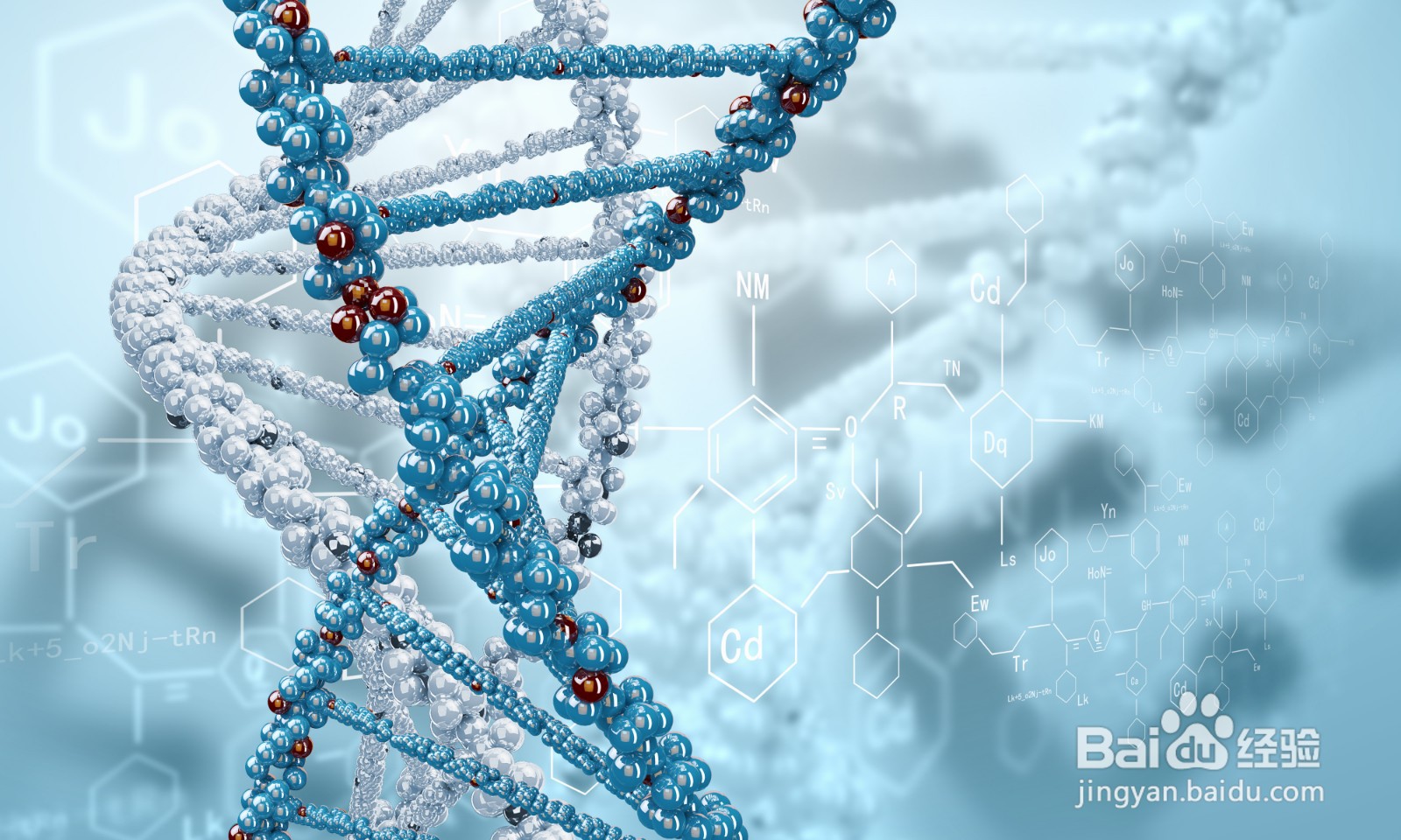 基因检测口腔粘膜采样流程