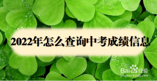 2022年怎么查询中考成绩信息