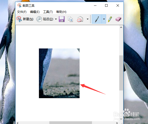win10怎么使用系统自带截图工具