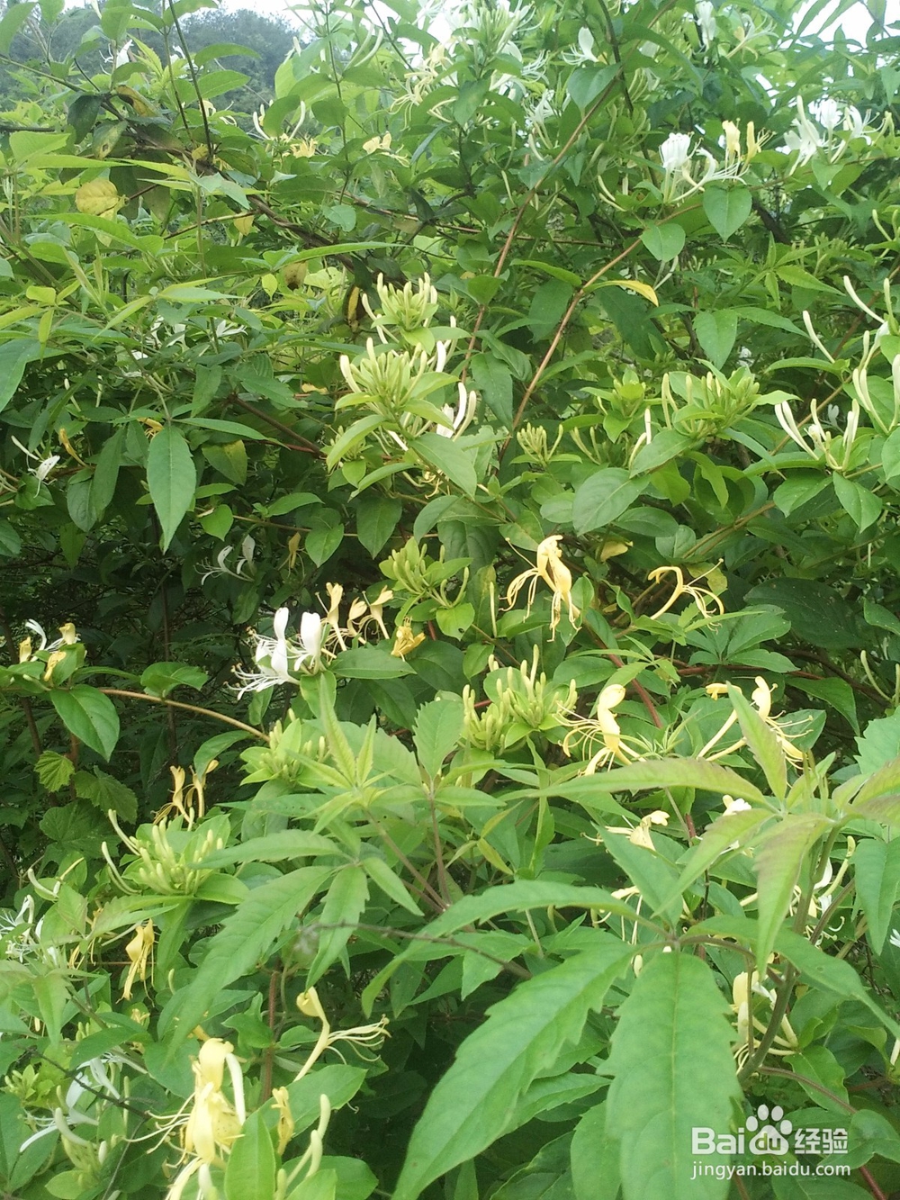 面试公考注意要点