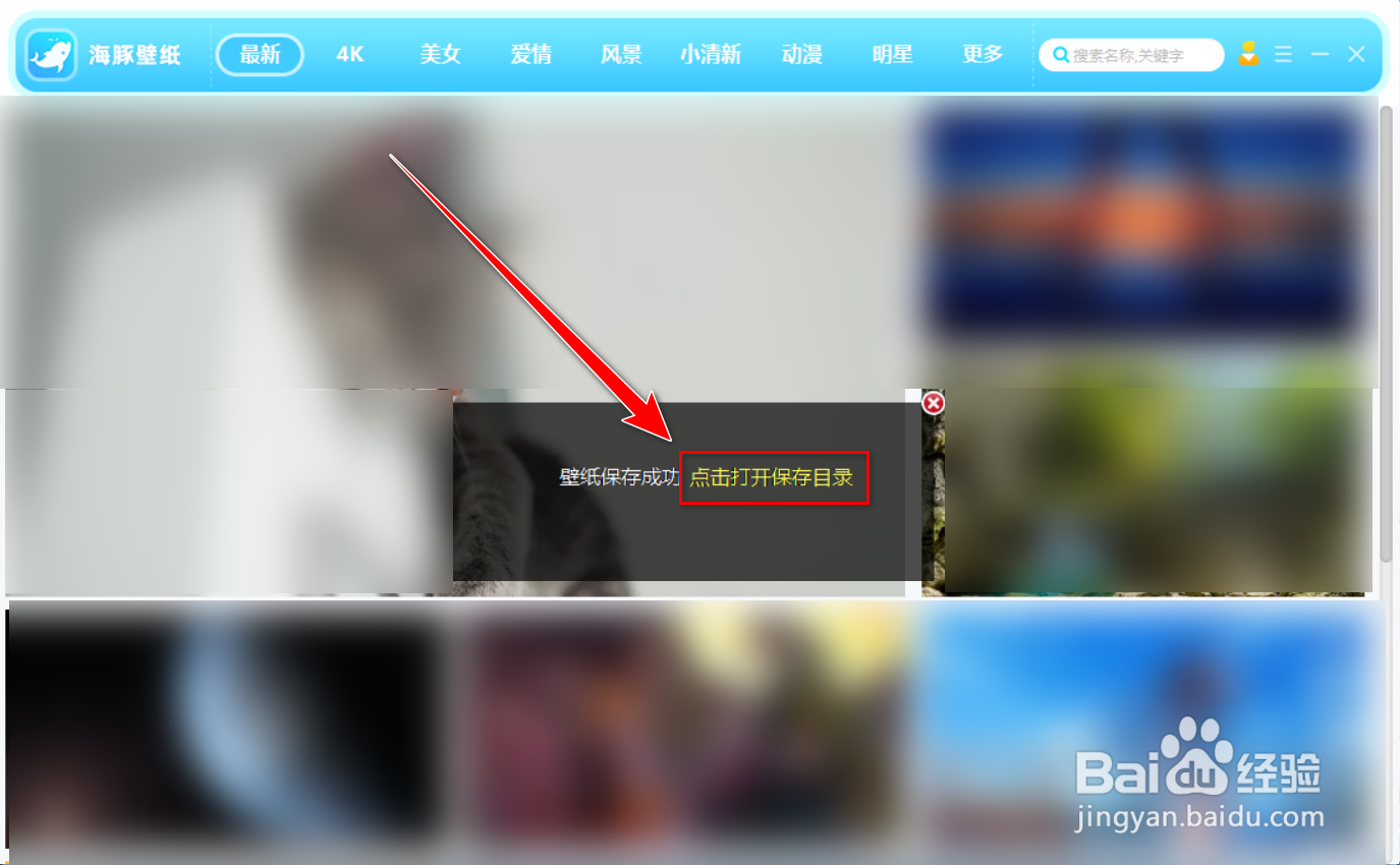 如何下载海豚壁纸中的图片